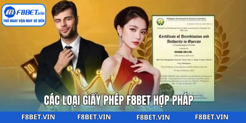 Các loại giấy phép F8bet được cấp 