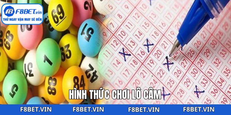 Lô Câm F8BET: Chiến Thuật Bắt Số Hiệu Quả Bất Bại Thắng Lớn 3 Thành viên sẽ gặp một số dạng hình thức lô câm phổ biến
