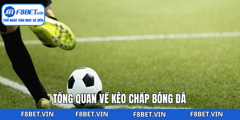 Tổng quan sơ lược về kèo chấp vô cùng đỉnh cao