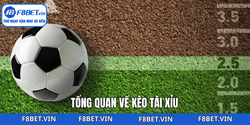 Thông tin sơ lược về hình thức cược tài xỉu quen thuộc 