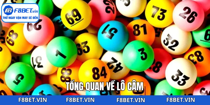 Lô Câm F8BET: Chiến Thuật Bắt Số Hiệu Quả Bất Bại Thắng Lớn 2 Đôi nét tìm hiểu chung về hình thức lô câm